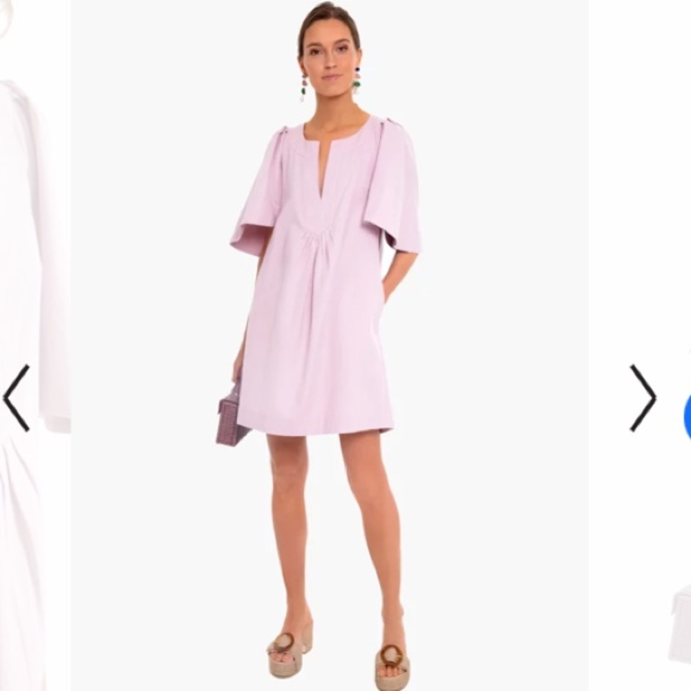 Tuckernuck Finley flutter sleeve shift dress S